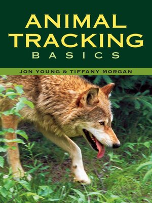cover image of Animal Tracking Basics